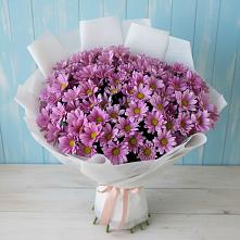 Букет цветов из:  Хризантемы в Никольское