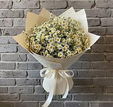 Букет цветов из:  Ромашки #REPLACE_PRED# Никольское